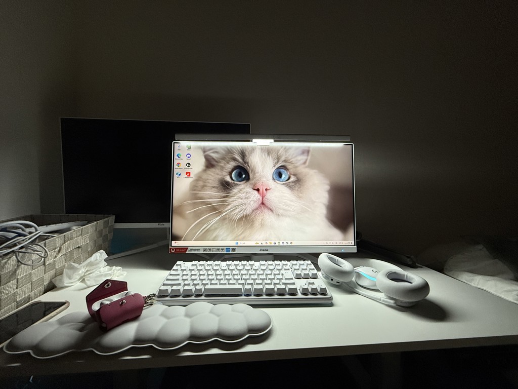 投稿写真