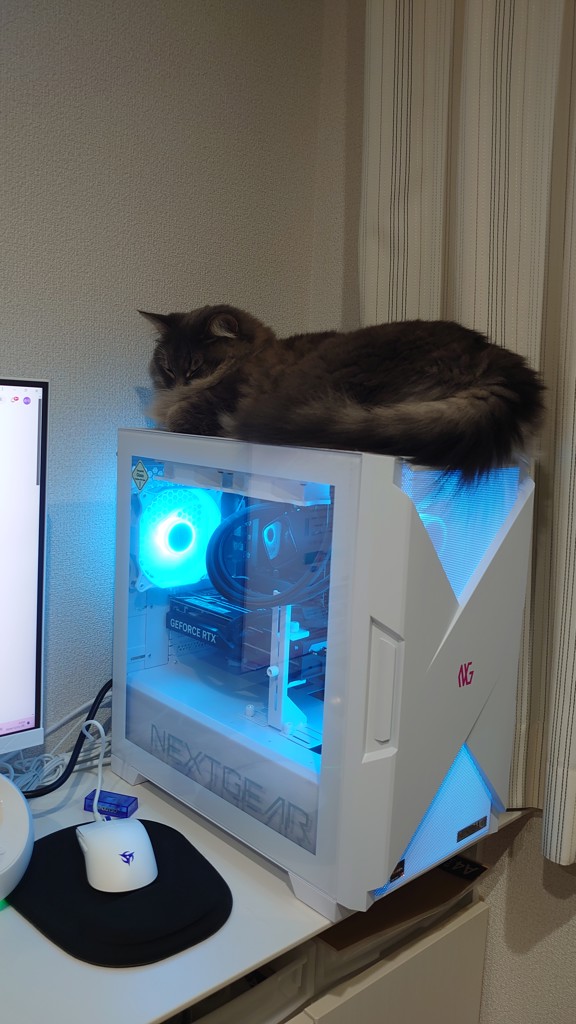 投稿写真