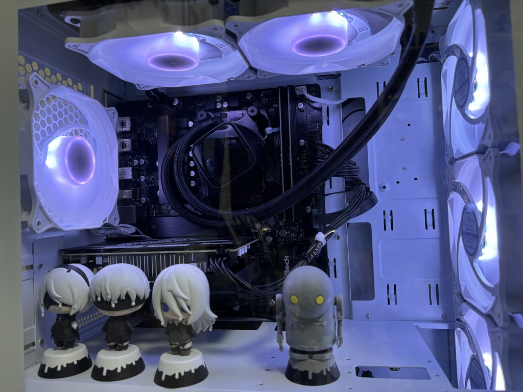 投稿写真