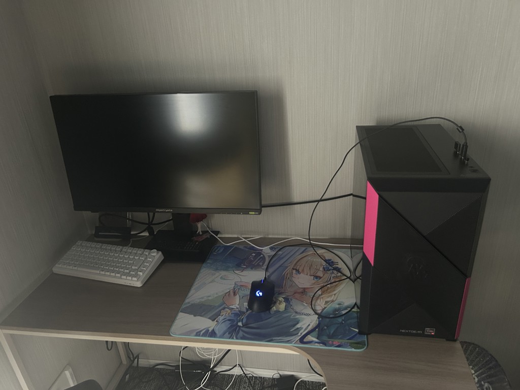 投稿写真