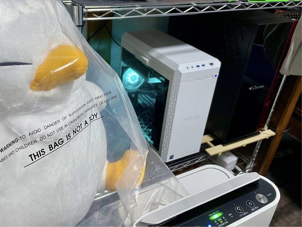 投稿写真