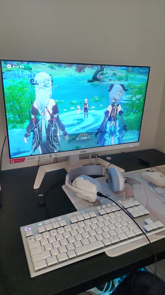 投稿写真