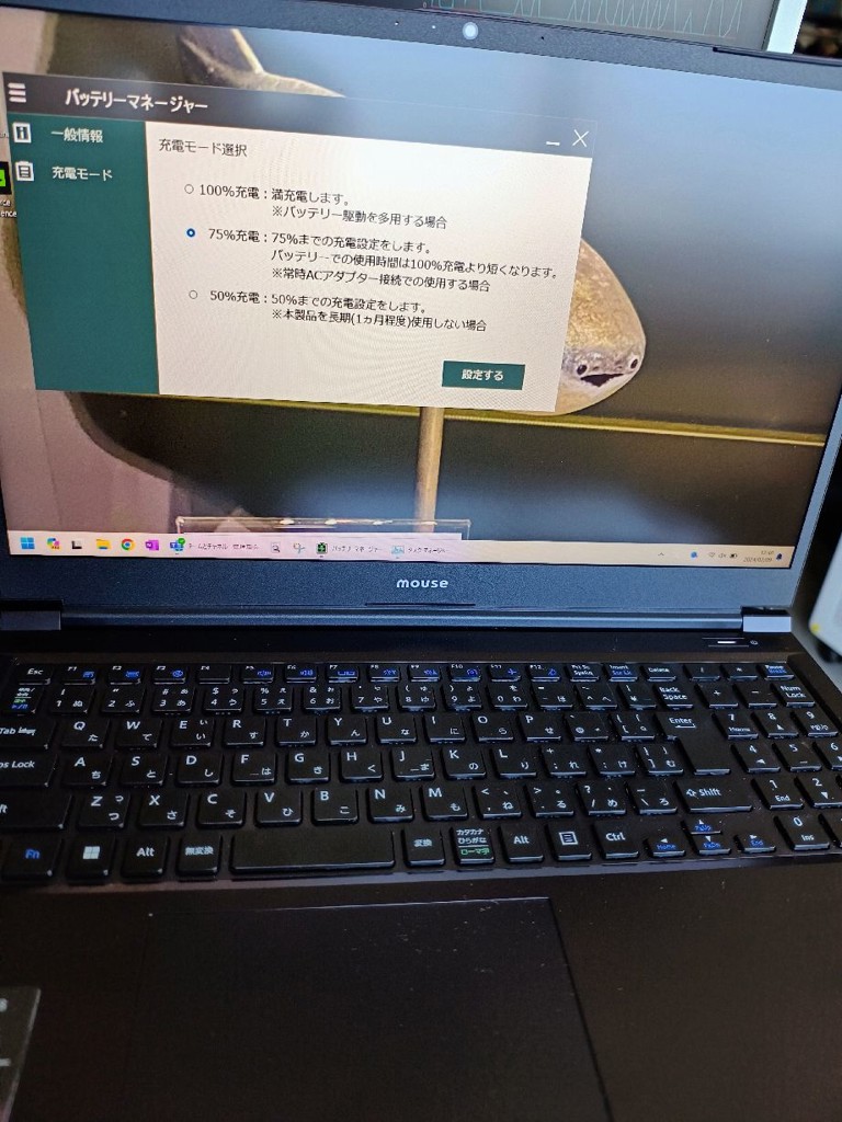 ユーザー写真