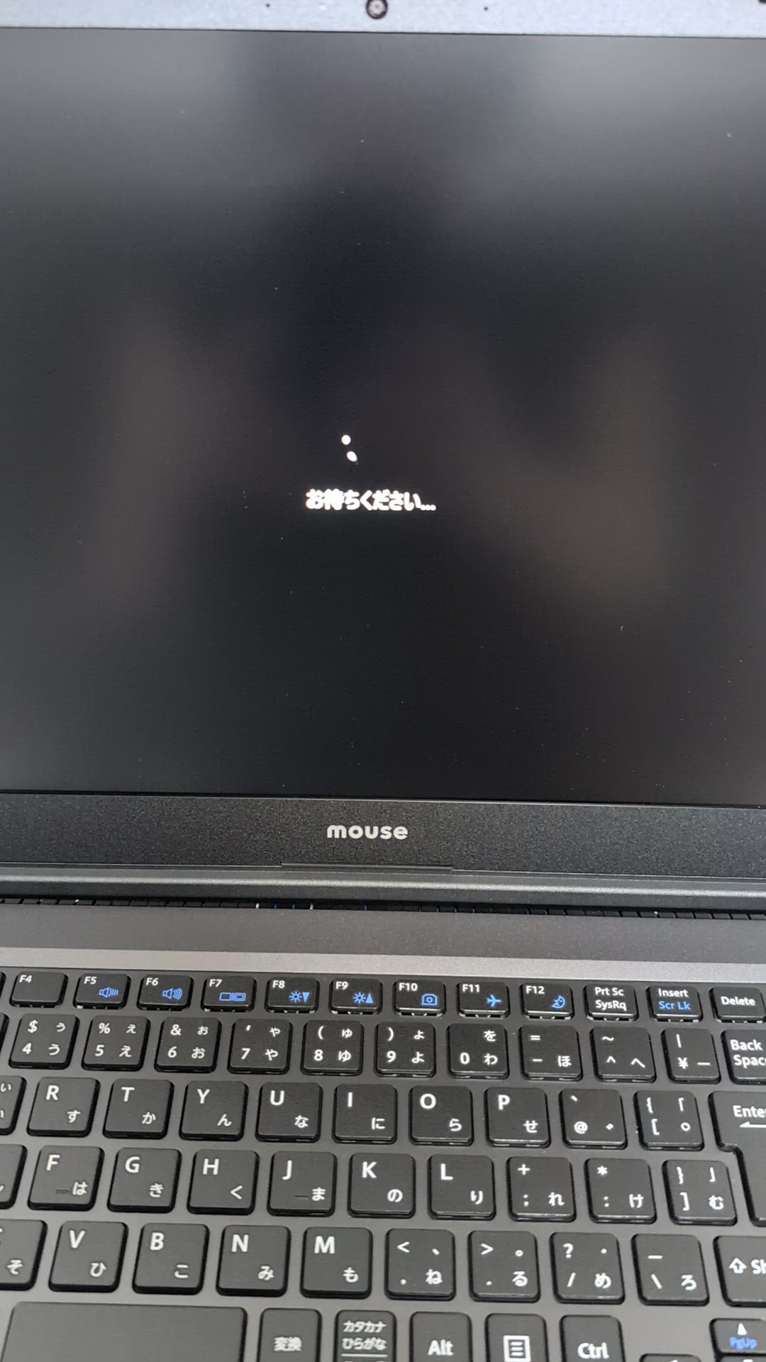 投稿写真