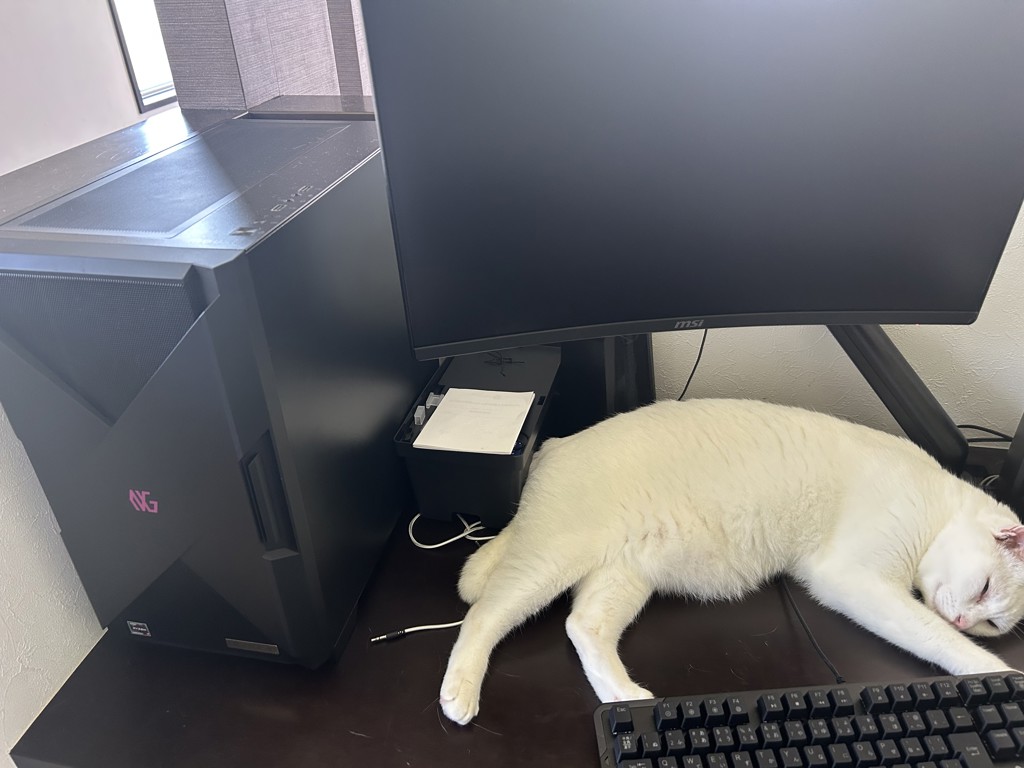 ユーザー写真