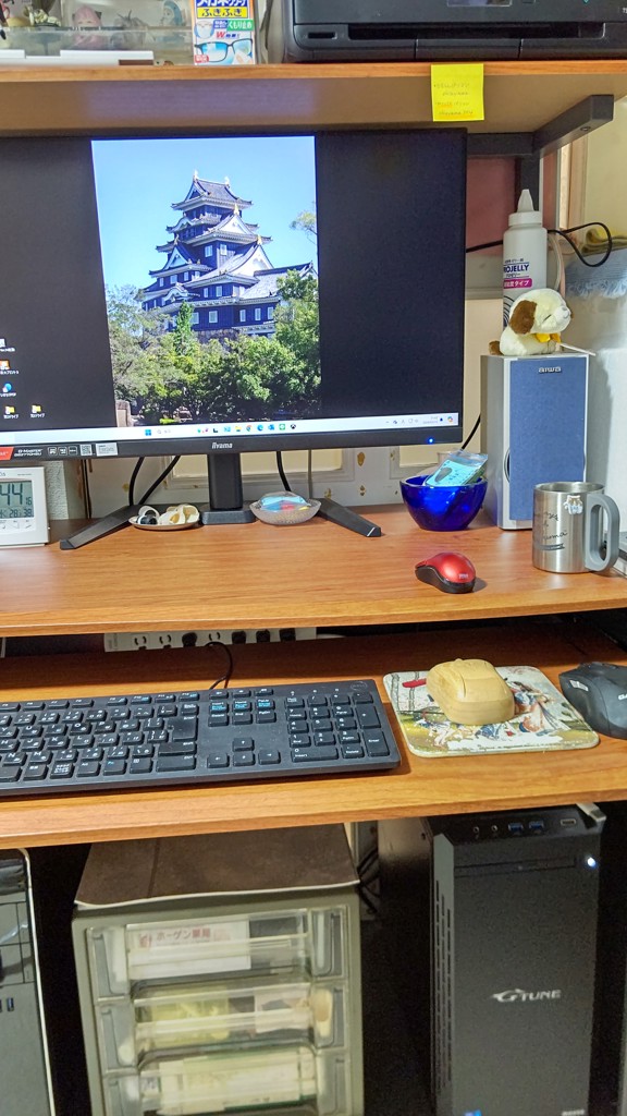 投稿写真