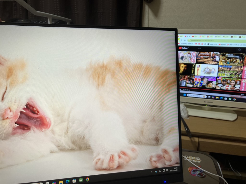 投稿写真