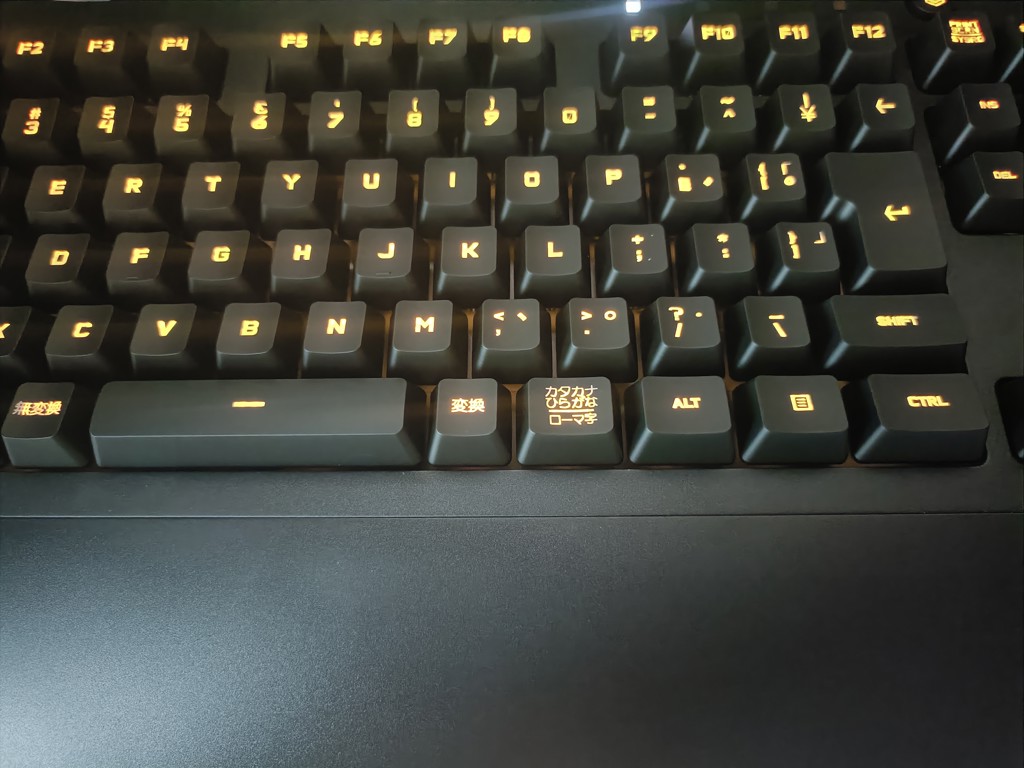 投稿写真
