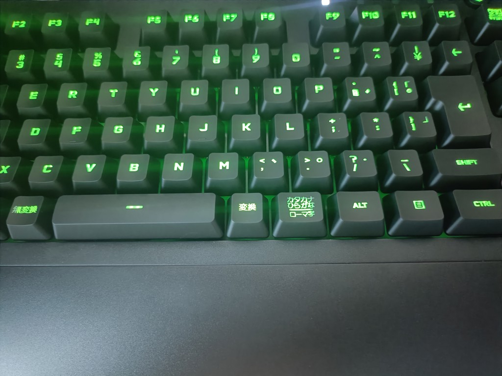 投稿写真