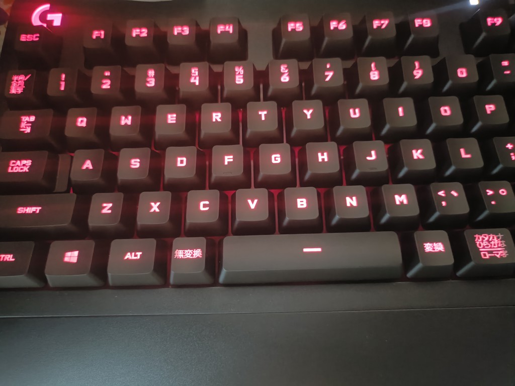 投稿写真