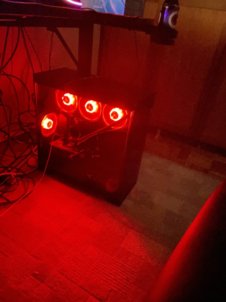 投稿写真