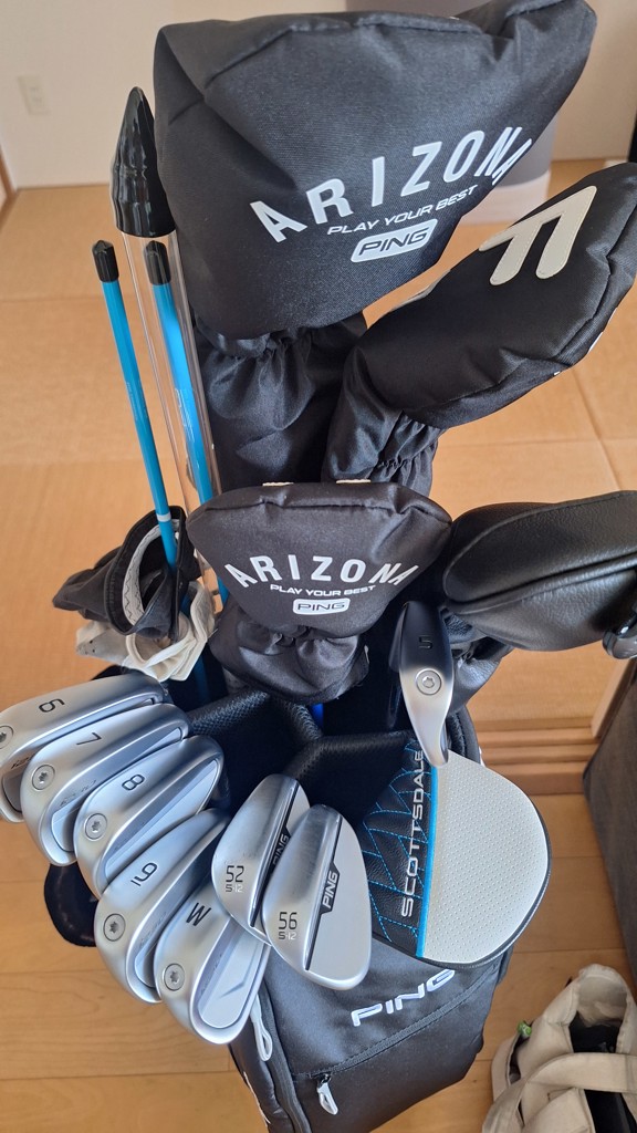 アイアンセット i230 (5-PW) 6本(右用 セット): アウトレットゴルフ