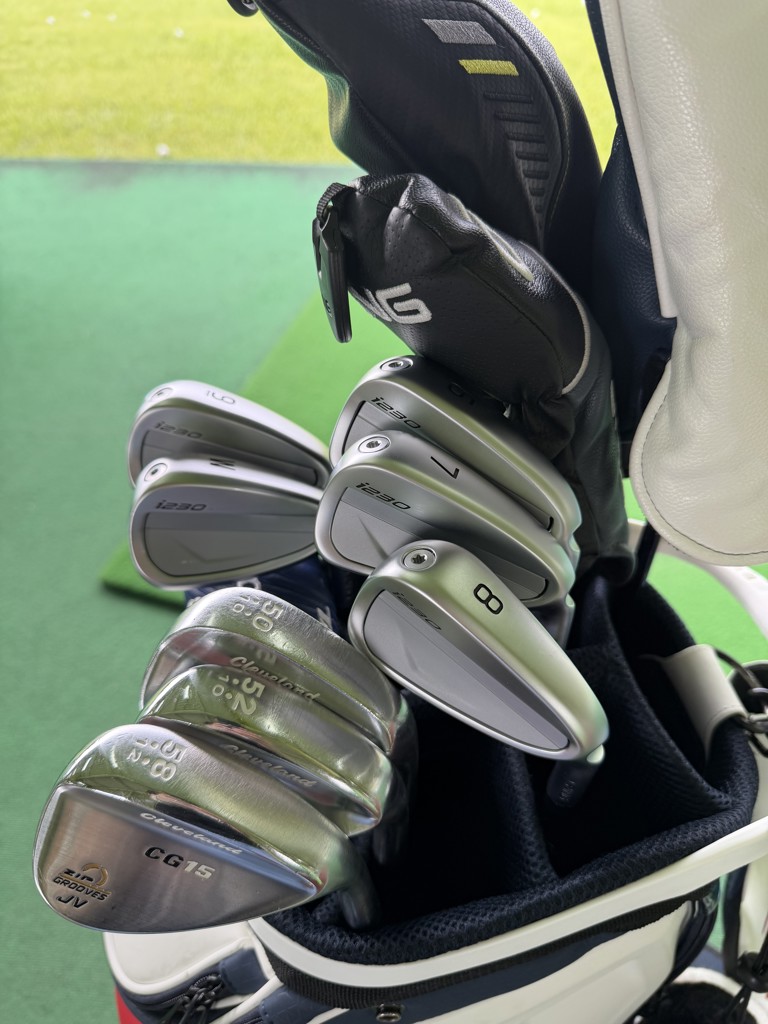 アイアンセット i230 (5-PW) 6本 シャフト：PING TOUR 2．0 CHROME I