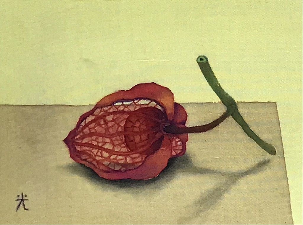 投稿写真