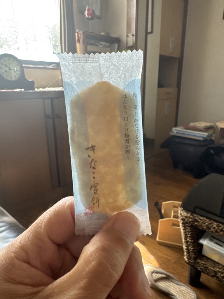 投稿写真