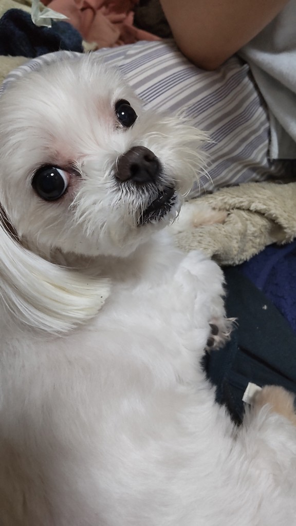 投稿写真