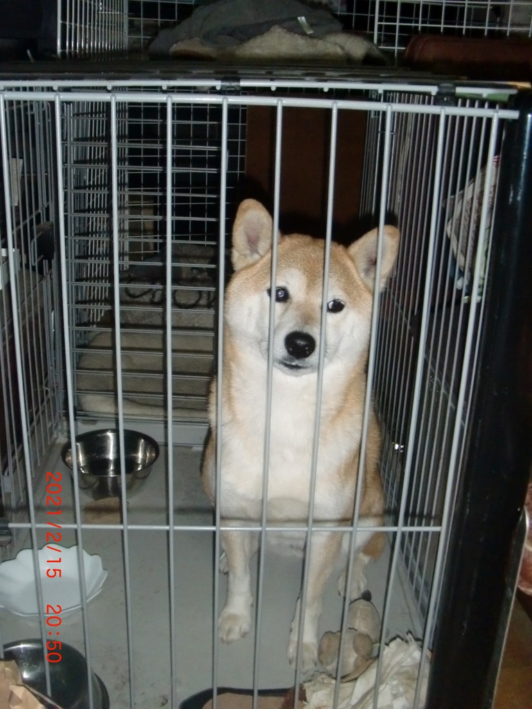 ユーザー写真