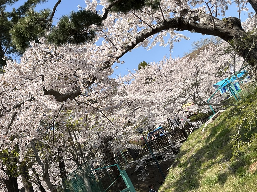 ユーザー写真