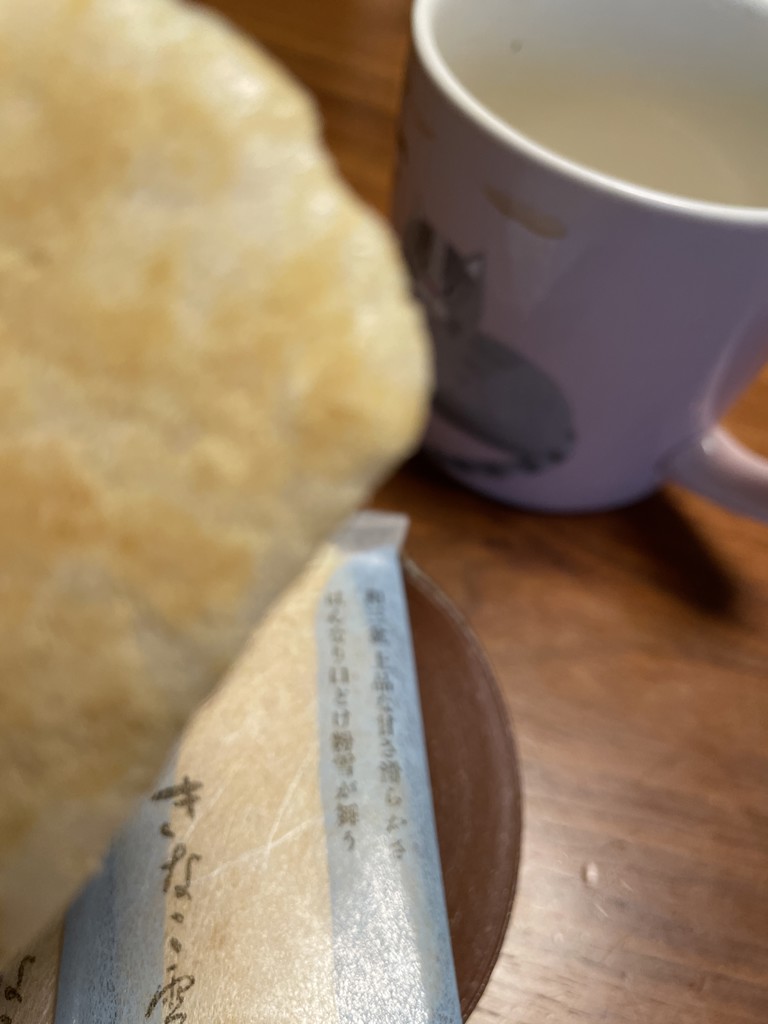 投稿写真