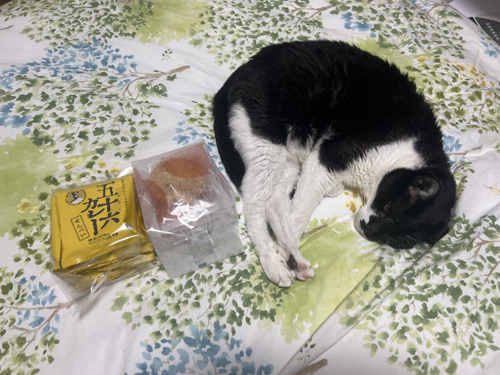 投稿写真