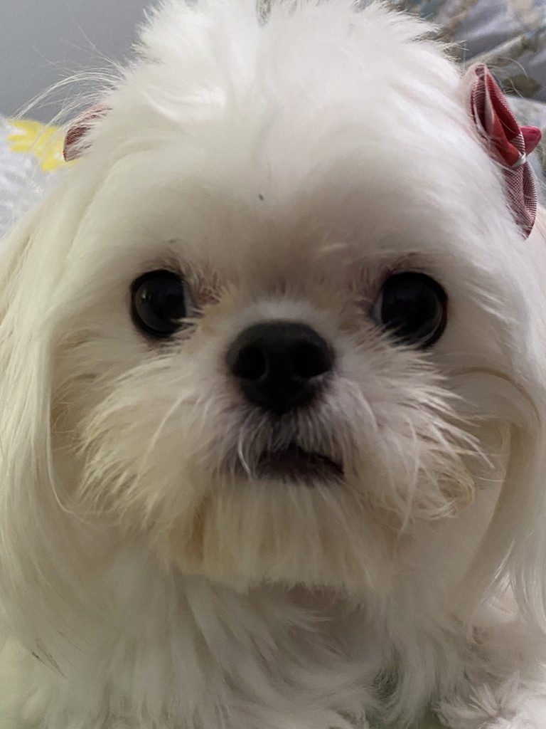 投稿写真