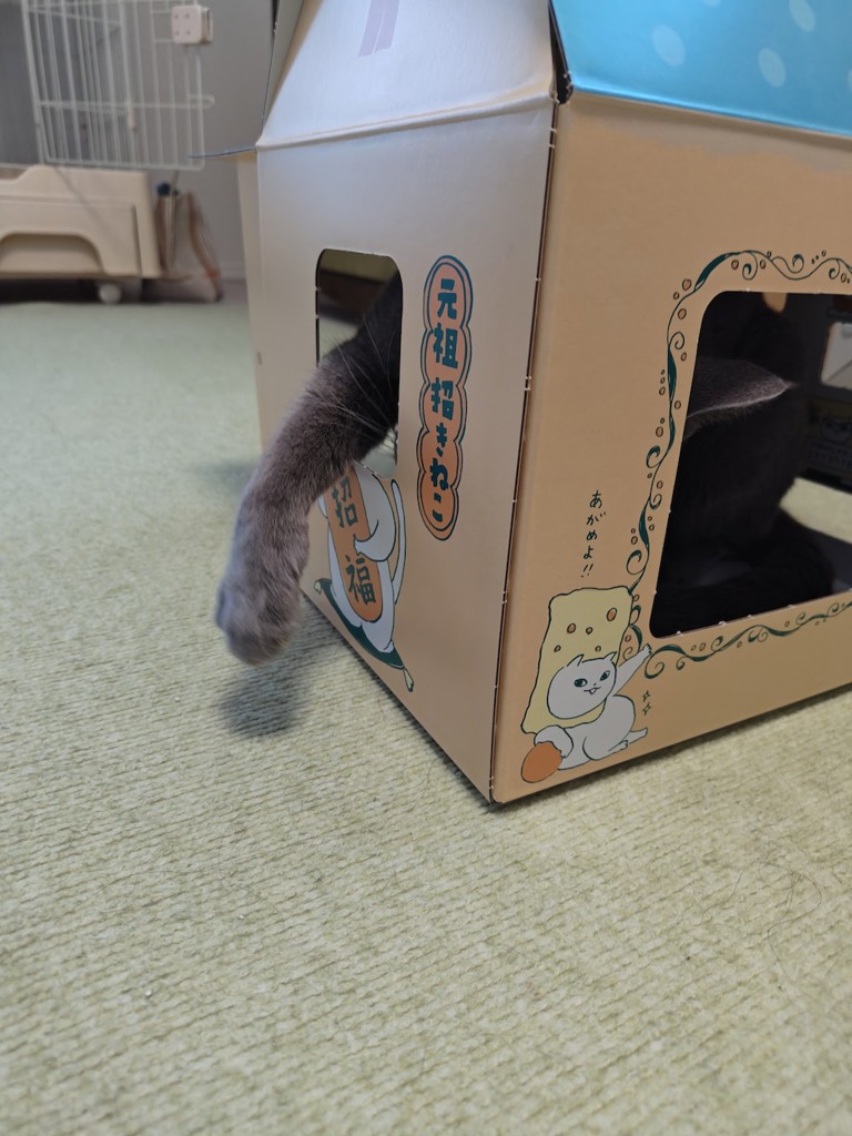 ユーザー写真