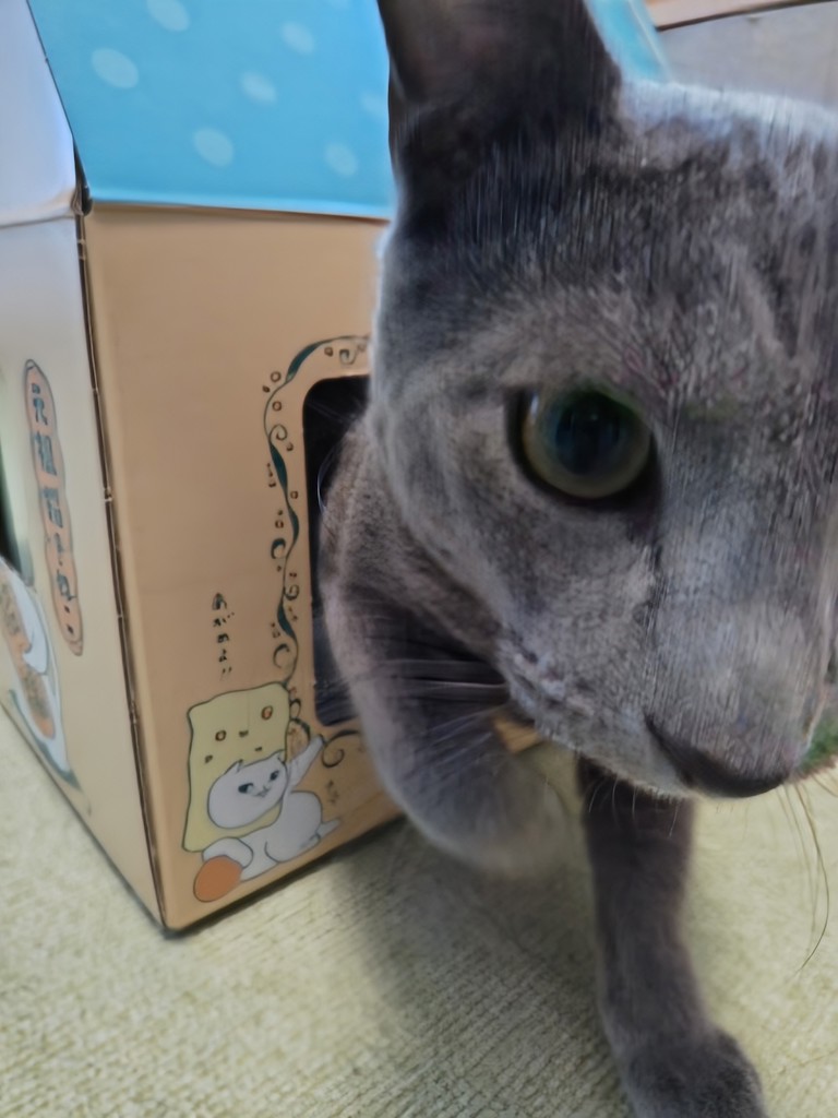 ユーザー写真