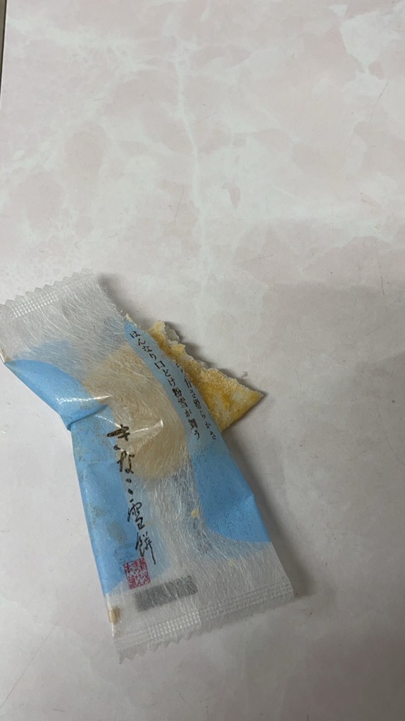 投稿写真