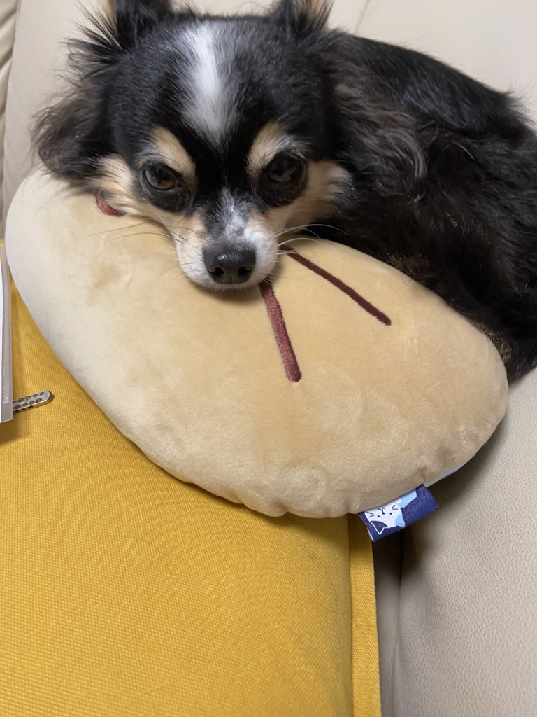 ユーザー写真