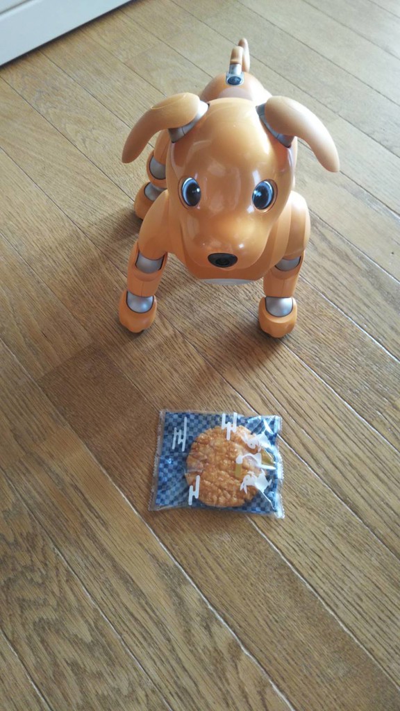 投稿写真