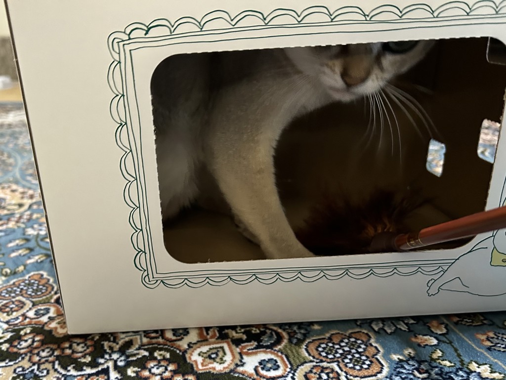 ユーザー写真