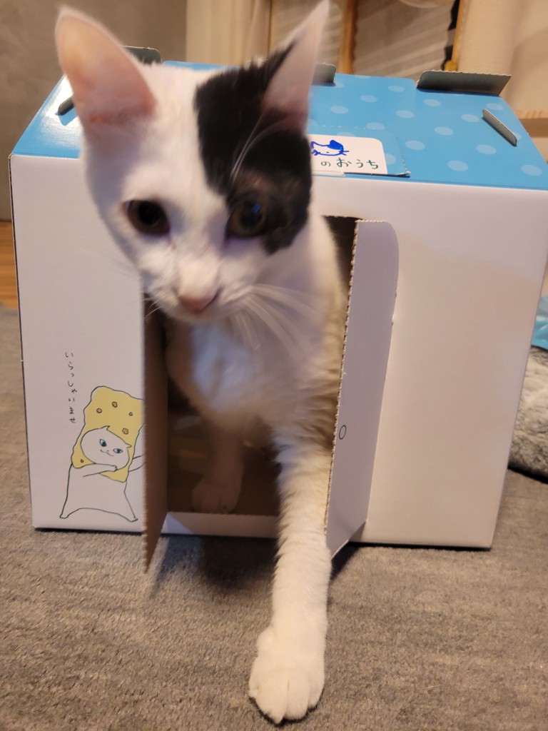 ユーザー写真