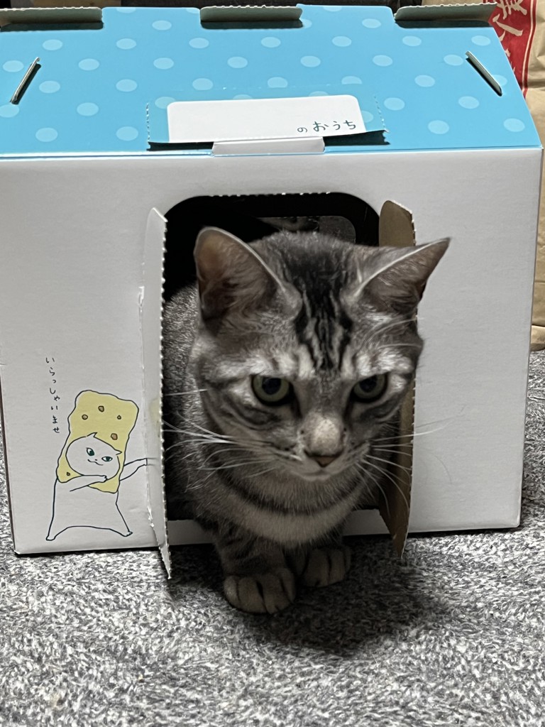 ユーザー写真