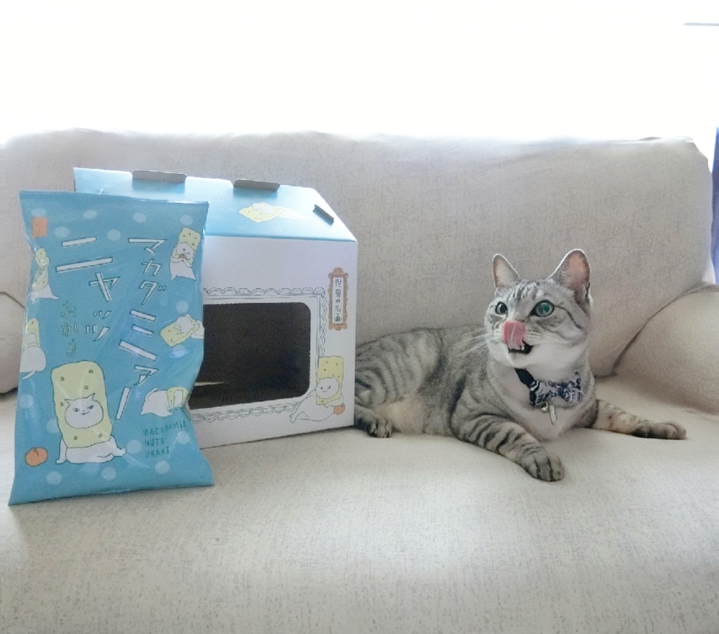 ユーザー写真
