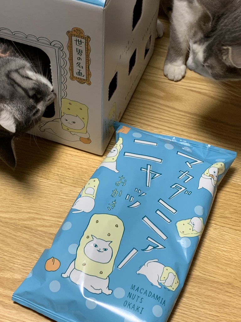 ユーザー写真