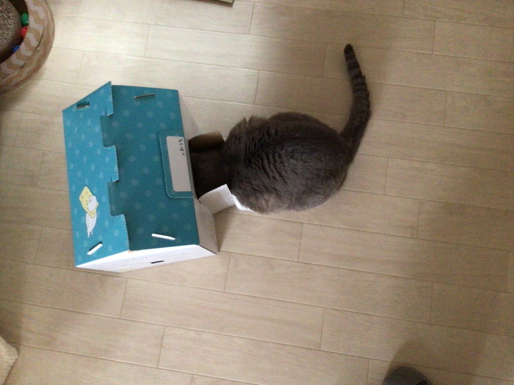 ユーザー写真
