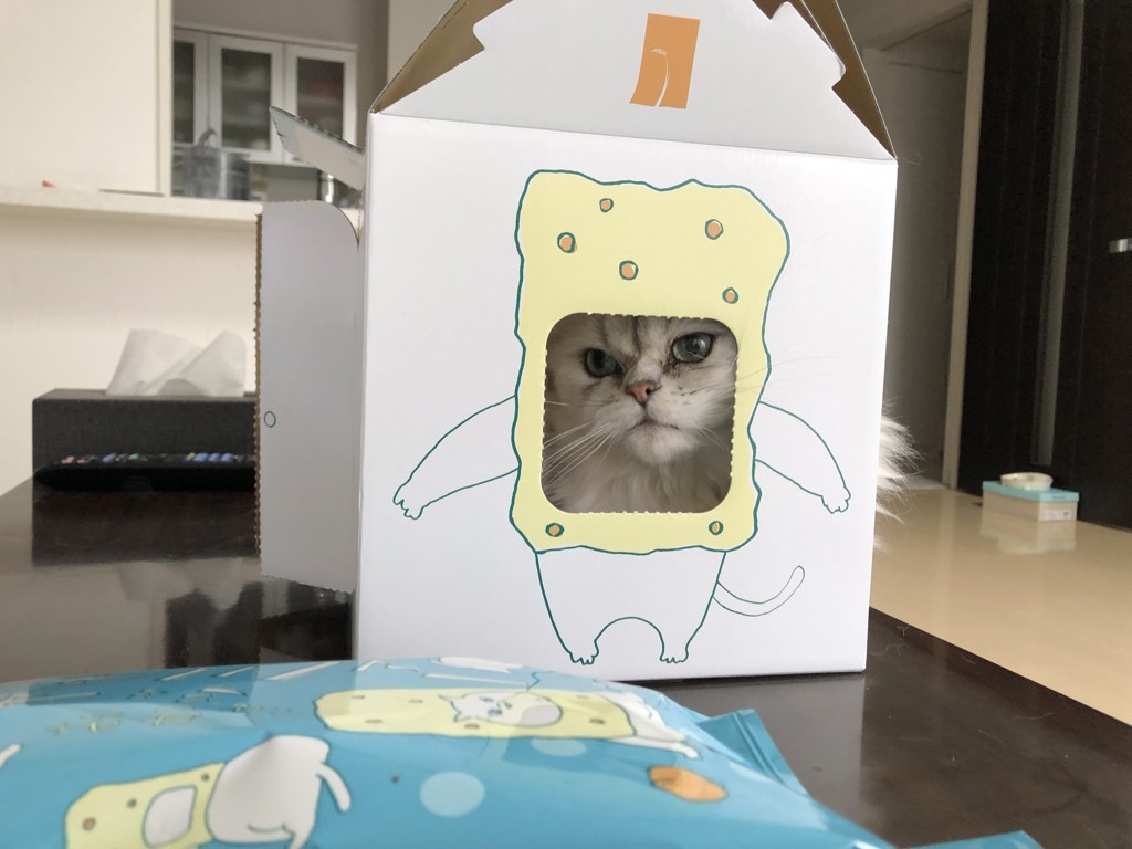 ユーザー写真