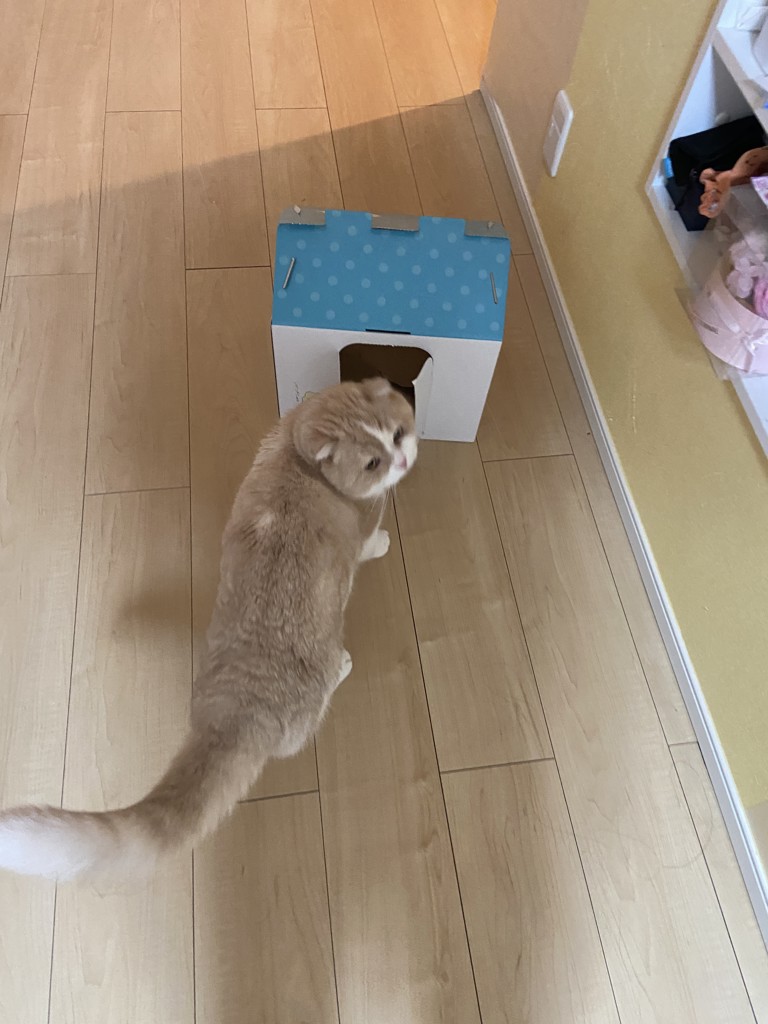 ユーザー写真