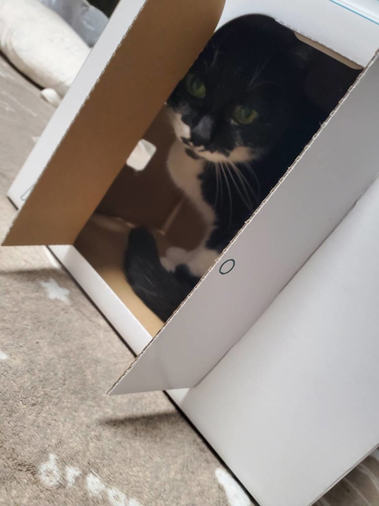 ユーザー写真