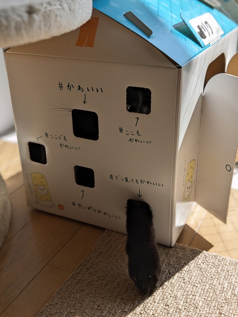 ユーザー写真