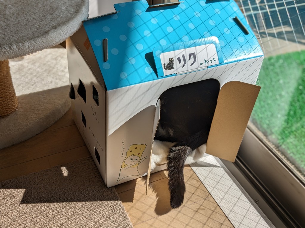 ユーザー写真