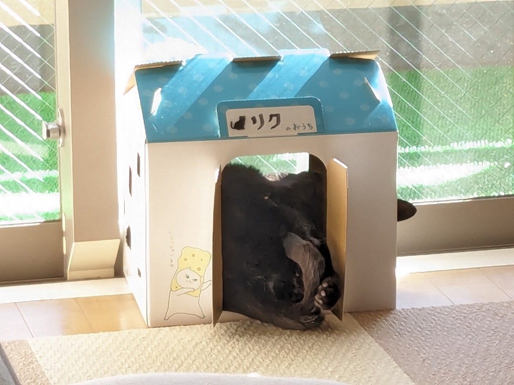 ユーザー写真