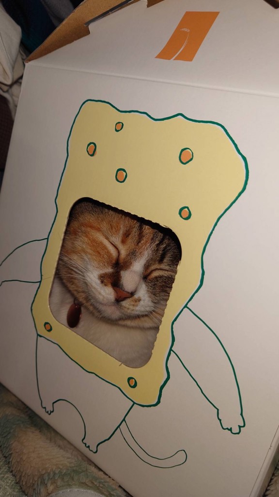 ユーザー写真