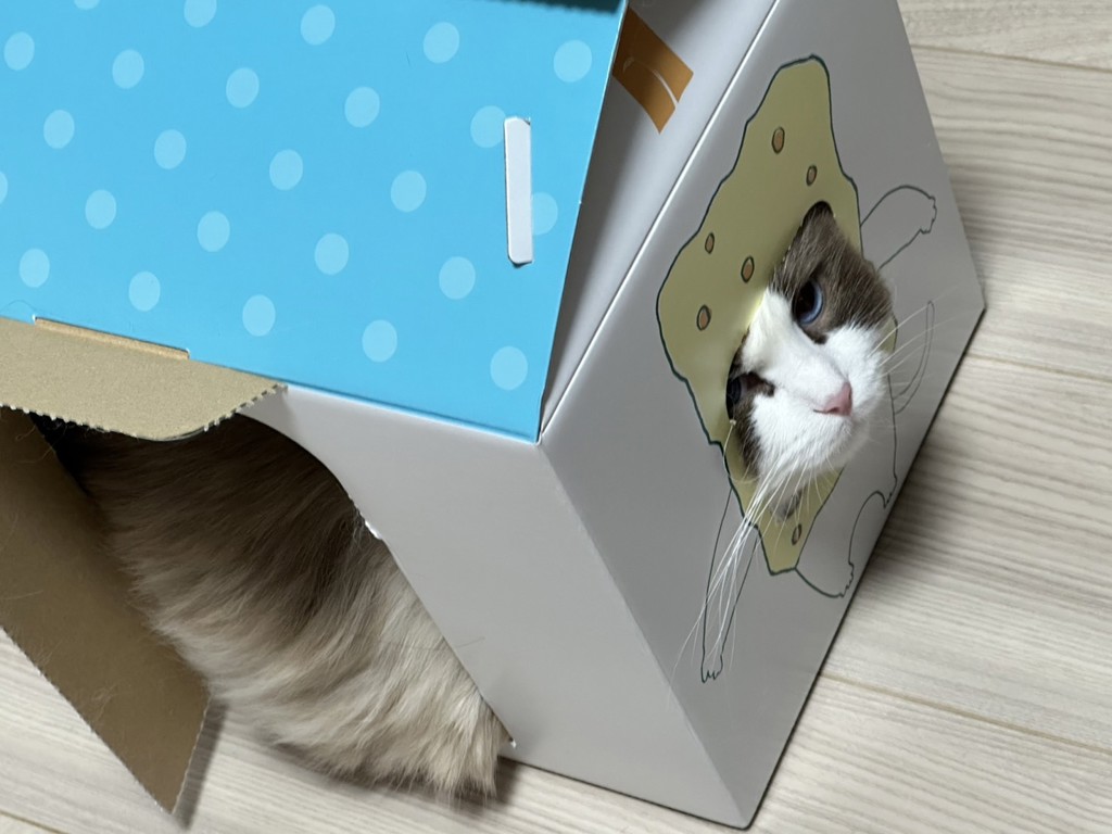 ユーザー写真