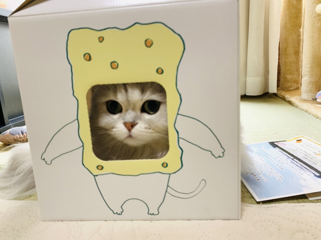 ユーザー写真
