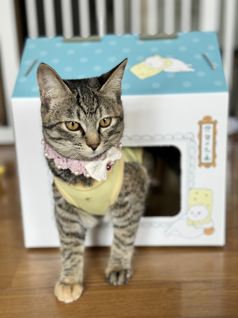 ユーザー写真