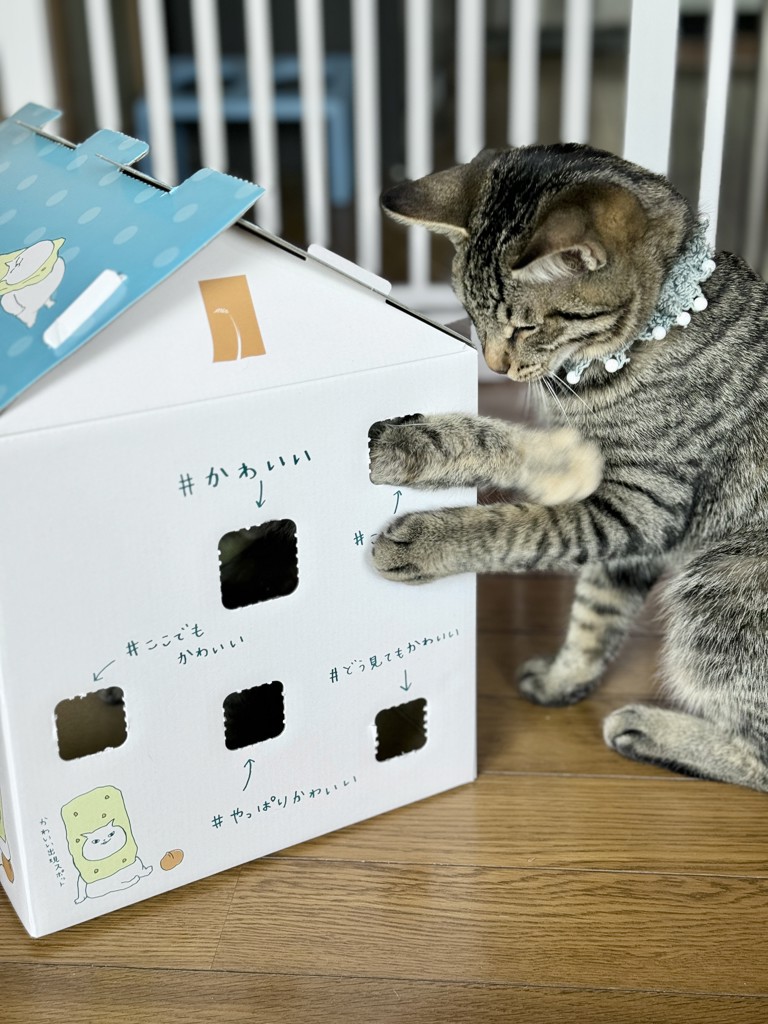 ユーザー写真