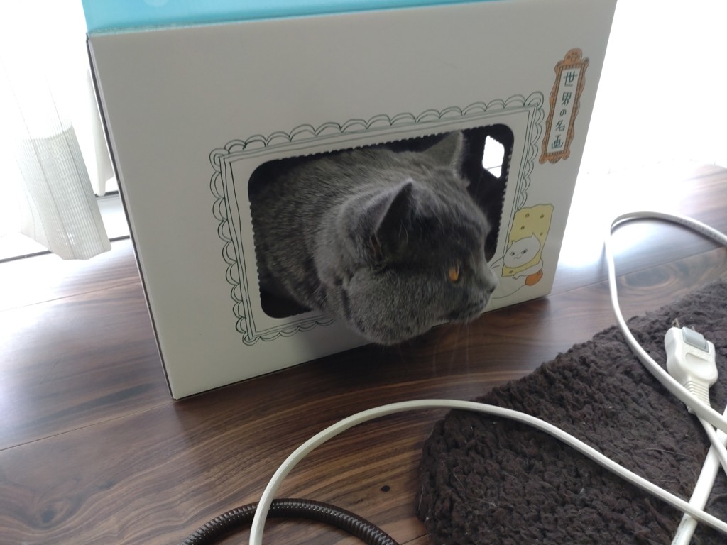 ユーザー写真