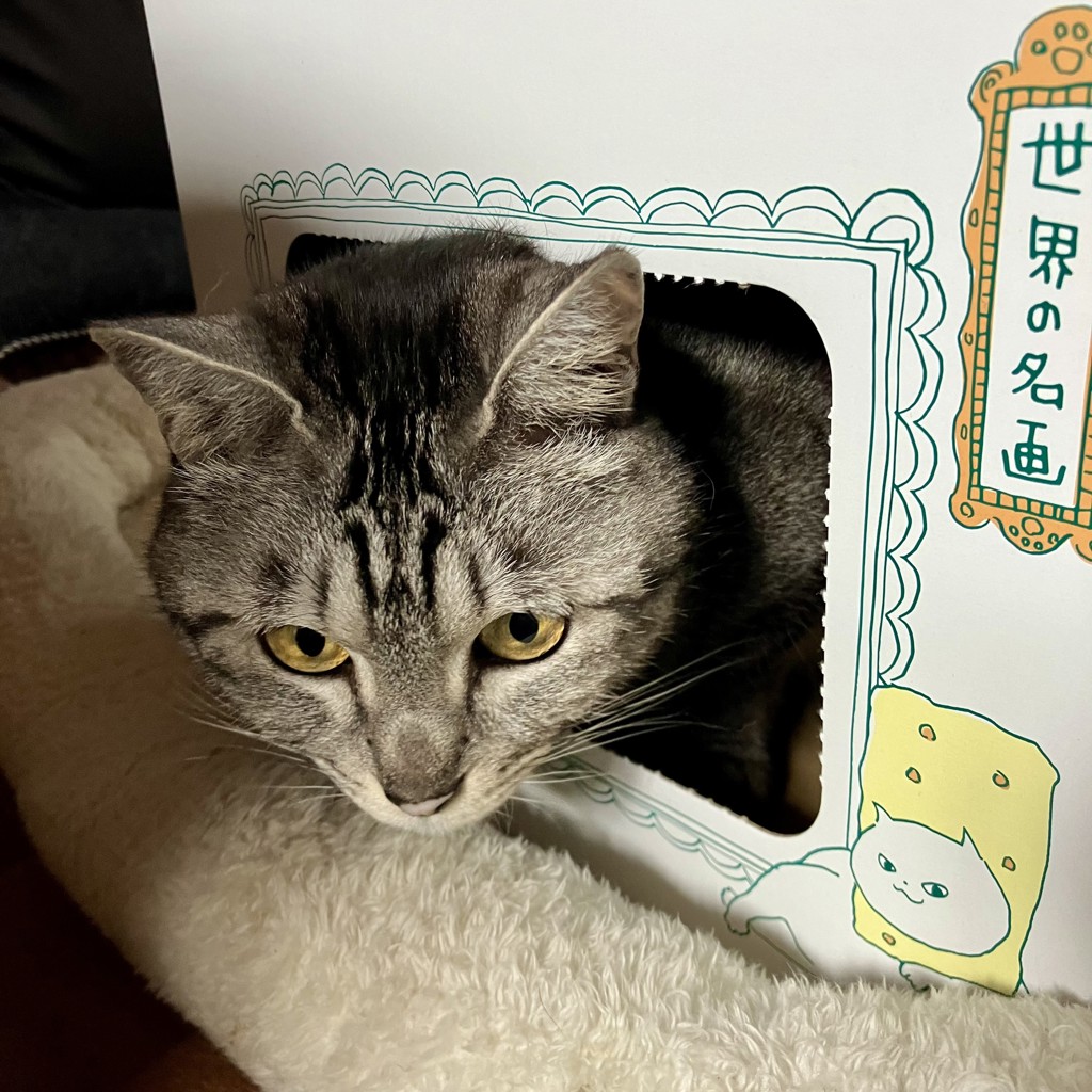 ユーザー写真