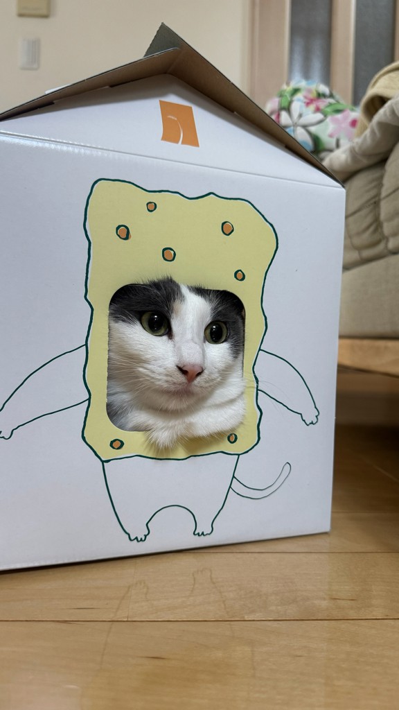 ユーザー写真